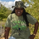 Biology grade 11 teacher and science department head, Fulvia Nugent has participated in the J.A.M.I.N. program for the past three years and she is still excited every time that she goes to the mangroves with her students.