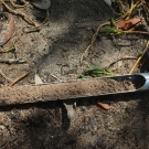 As part of the year 2 J.A.M.I.N. program, students collect soil samples to determine the soil texture in their mangrove plot. They collect the soil using a soil corer like the one photographed.