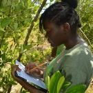 J.A.M.I.N. participant from William Knibb High School stands by ready to record data that her group is collecting.