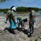 William Knibb High School students dig a hole to collect water from their mangrove plot. The students will measure the salinity, dissolved oxygen, and pH of the water.