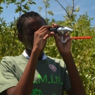Sometimes there are equipment failures in the field. This student from William Knibb High School realizes that her refractometer is not giving her a correct reading. The equipment needs to be recalibrated, but in the meantime the student borrows another refractometer.