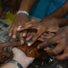 Students touch a sea cucumber. One student noted that the sea cucumber is slimy and squishy. She wasn't expecting that.