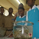 Students at William Knibb High School listen to Shanna Thomas talk about the anemone in the glass container. Students are not allowed to touch this delicate animal, however, Shanna waves her fingers in the tentacles so that the students can see how the anemone reacts to motion.