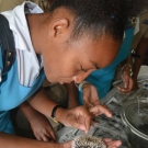 William Knibb 10th grade Biology student gets up close and personal with a sea urchin. She as fascinated by the tube feet that help the organism to move.