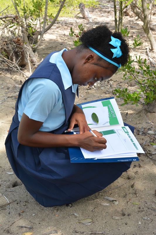 A student answers questions on her activity worksheet while on a field trip to a mangrove forest.