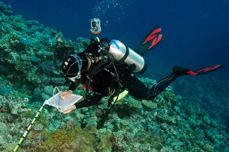 Scientist Dawn Bailey conducting coral surveys in New Caledonia.
