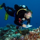 Scientist Gwilym Rowlands surveying corals.