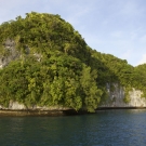 ellenbogen_palau_093