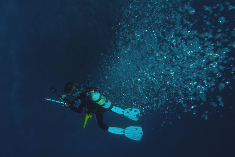 Chief Scientist Andy Bruckner descents to the reef in a shower of bubbles.