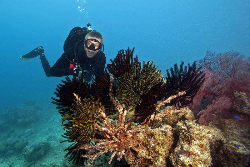 Graham Kolodziej mugs for a photo behind a cluster of feather stars.
