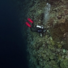 Samantha Clements performing benthic surveys on the edge of a wall.