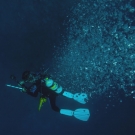 Chief Scientist Andy Bruckner descents to the reef in a shower of bubbles.