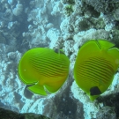 dsc04061-1-52-55-pm