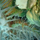 dsc04216-1-52-55-pm