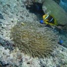 dscn2065-1-52-55-pm