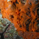 dscn3577-1-52-55-pm