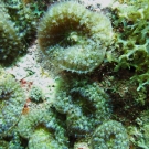 img_0419-1-52-55-pm
