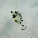 img_1340-1-52-55-pm