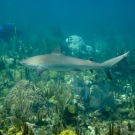 img_1393-1-52-55-pm