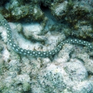 img_1602-1-52-55-pm