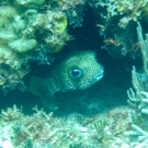 img_3278_lk-1-52-55-pm