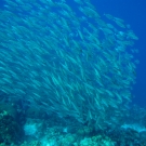 img_3905-1-52-55-pm
