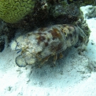 img_4357-1-52-55-pm