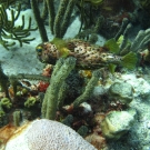 img_4443-1-52-55-pm