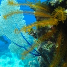 img_9290-1-52-55-pm