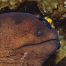 sey-moray-cleaning-1-52-54-pm