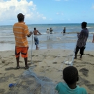 Men and boys pull in seine fishing net on the beach near their village.