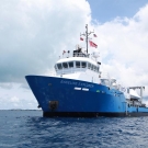 The Nekton research vessel, Baseline Explorer.