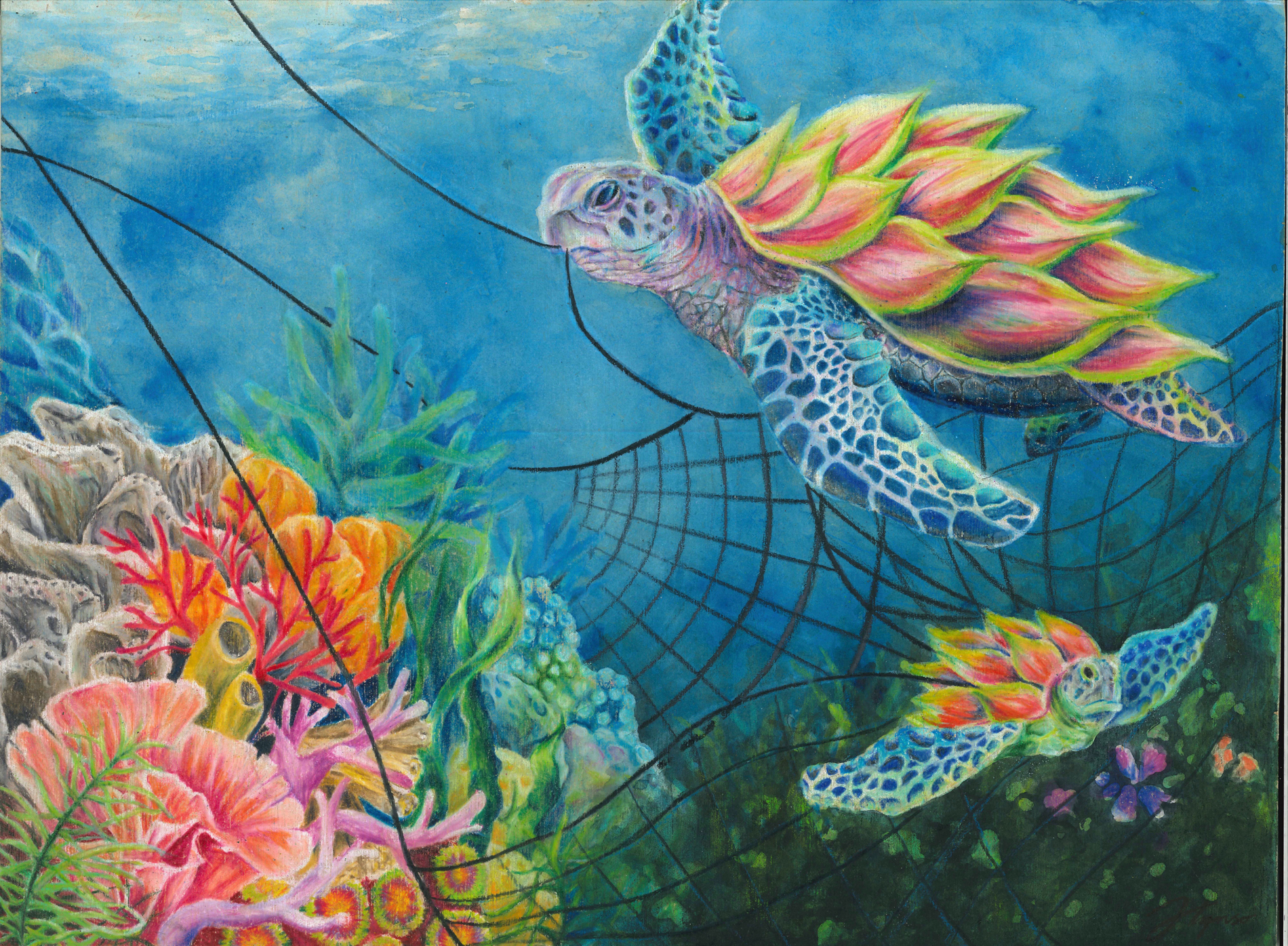 Second Place: “Dragon Fruit Sea Turtle” By Hyunseo Ju, 18 United States Second Place: “Dragon Fruit Sea Turtle” By Hyunseo Ju, 18 United States