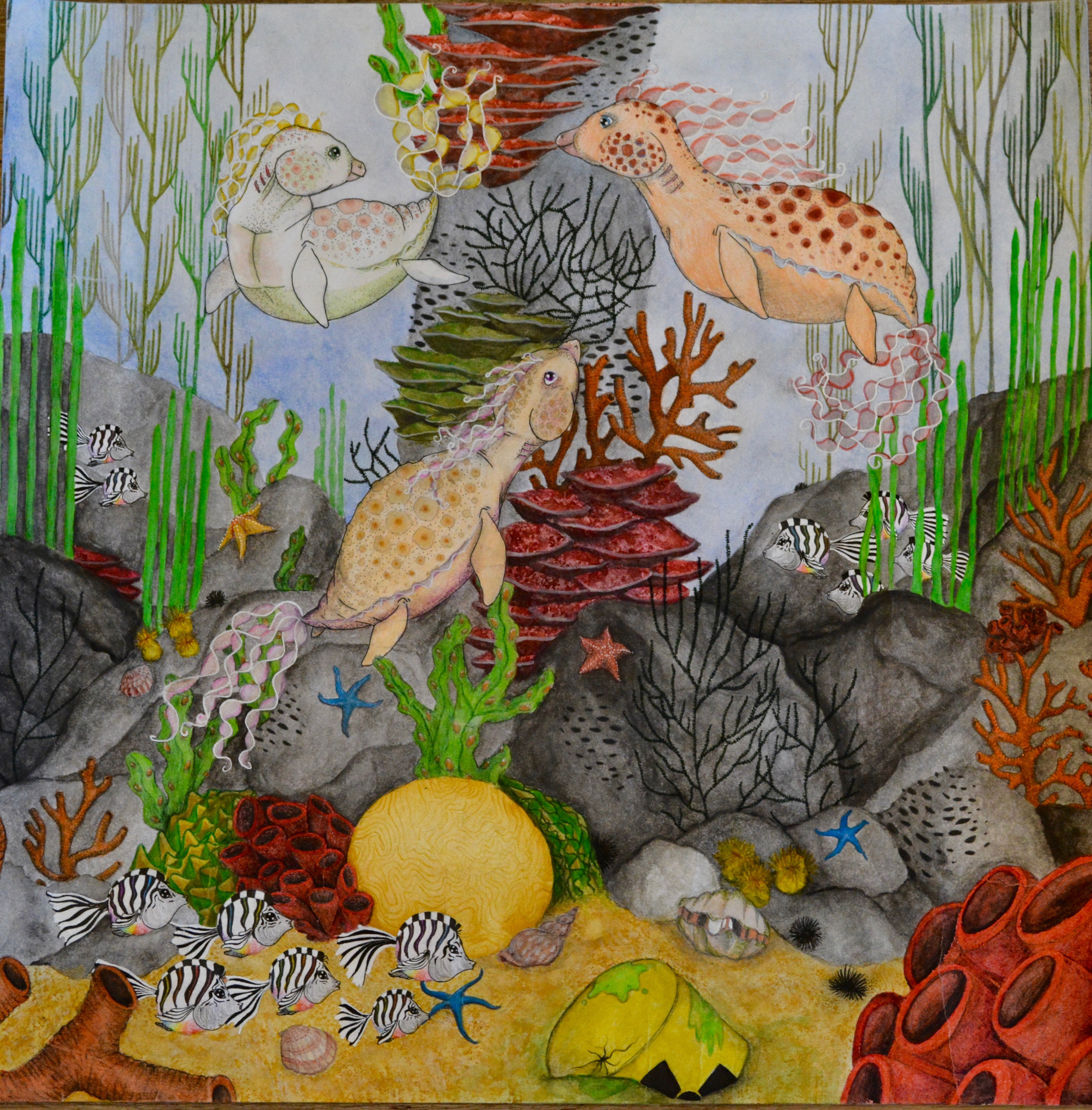 “Terrarious Coloris Hybrid” By Teja Koren, 16 Slovenia “Terrarious Coloris Hybrid” By Teja Koren, 16 Slovenia