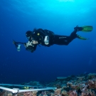 Ken Marks photographing a phototransect.