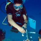 Sonia Bejerano setting up cages for an herbivore fish survey.