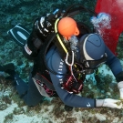 Claude Payri collecting algae samples.