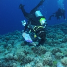 Katie Hillyer performing a benthic transect.