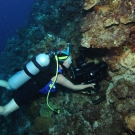 A science team member collecting samples.