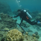 Sonia Bejerano setting up cameras for a fish feeding experiment.