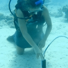 A member of the science team taking readings.