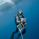 Scientist Marie Kospartov surfacing with all her equipment.