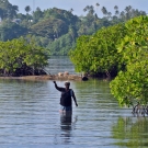 In the early morning, a woman near Seghe was handlining for fish.