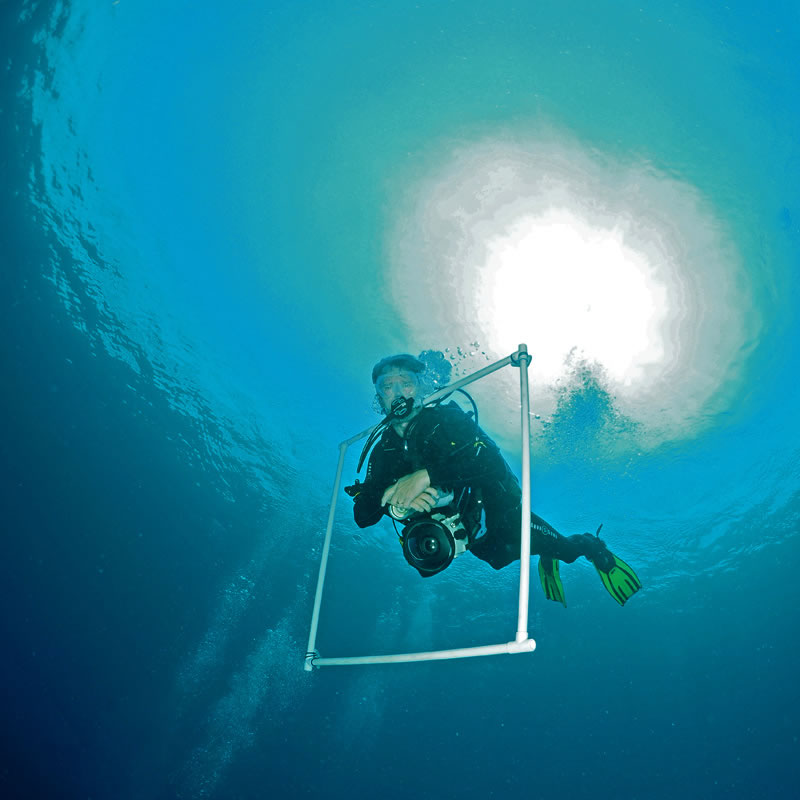 Ken Marks ascending from a dive after taking photo transects.