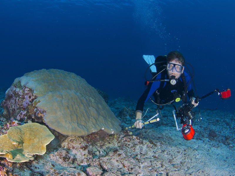 Chief Scientist Andrew Bruckner surveying corals.