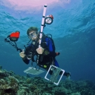 Chief Scientist, Andrew Bruckner, conducting coral surveys.