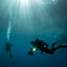 Scientists Monteiro and Anderson Mayfield ascending from a dive.