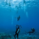 The scientists had some local children visit them while on their dive.