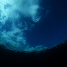 Looking up from the underwater world below. 