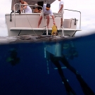 Scientists boarding the Calcutta after returning from a dive.